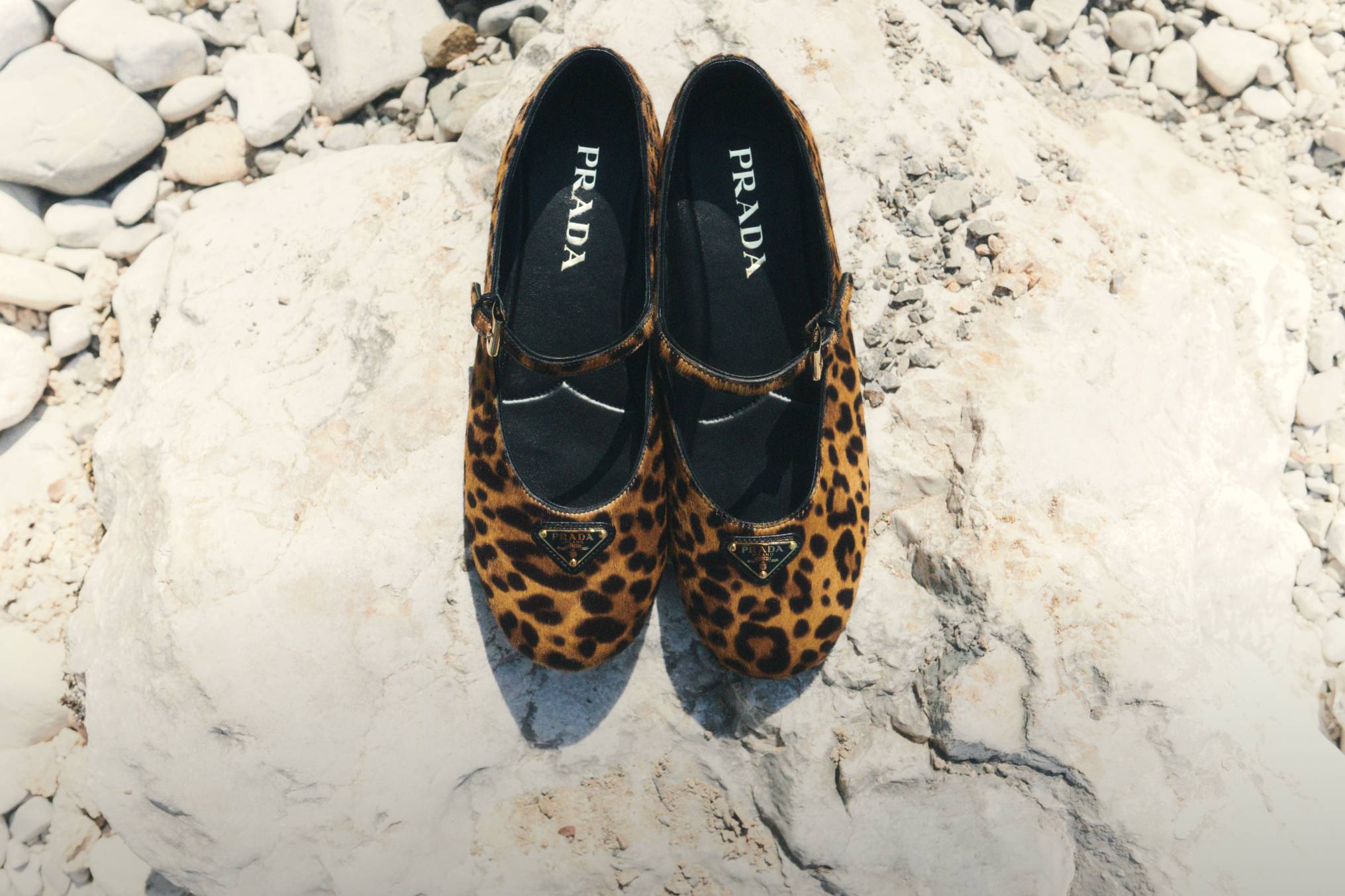 Seasonal Flats
