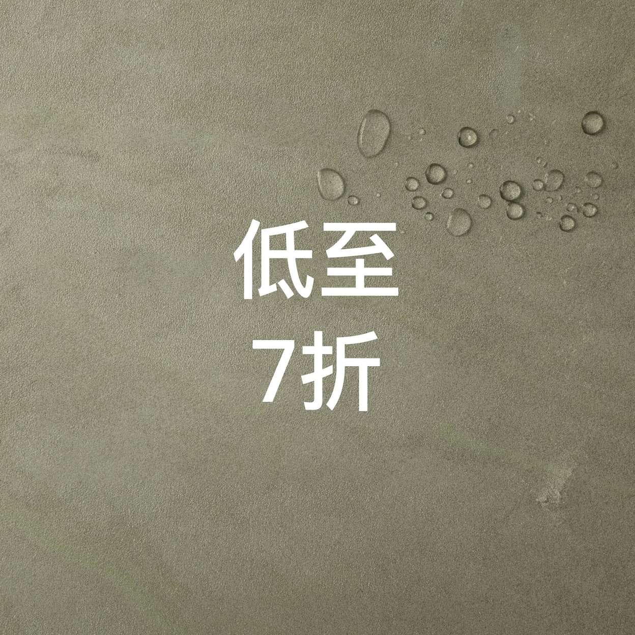 每日主打