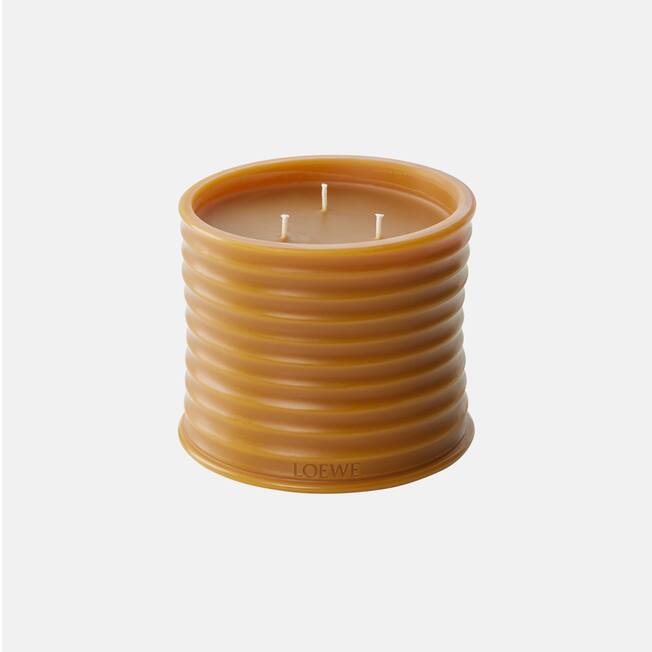 Trudon