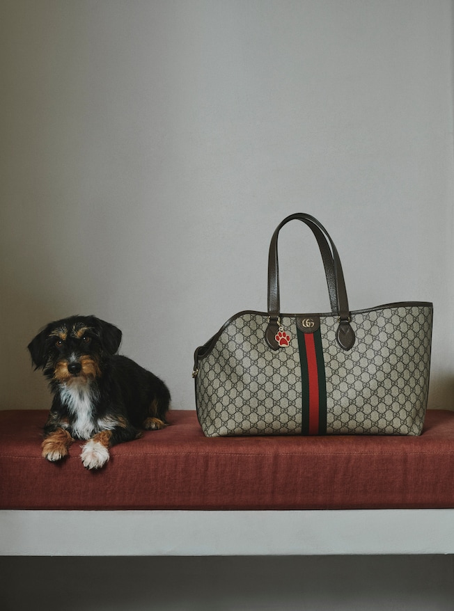 Regalos para mascotas