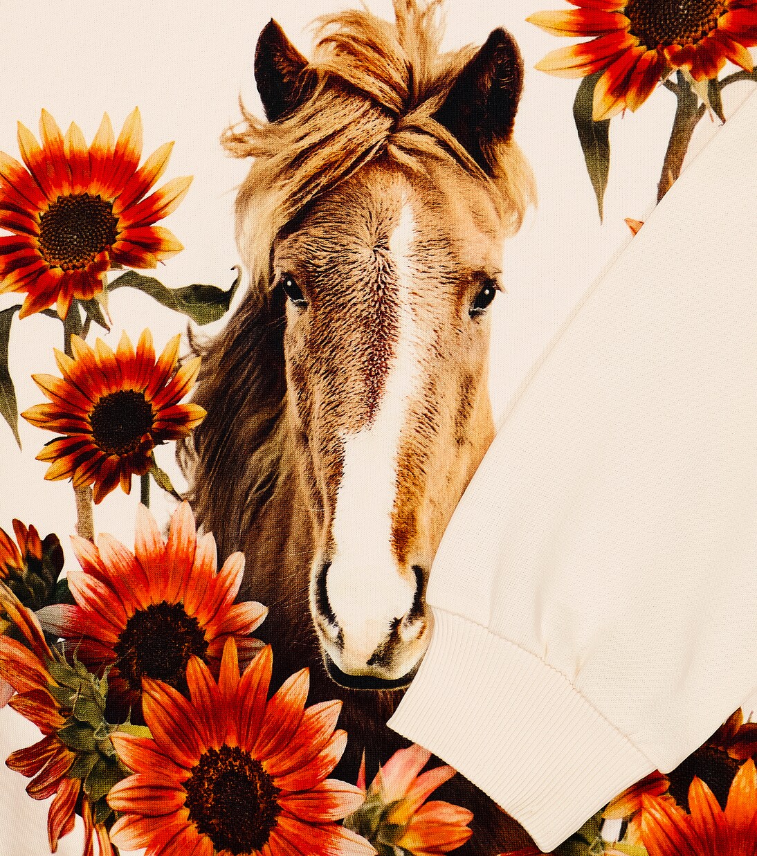 Mika printed cotton sweatshirt | Molo