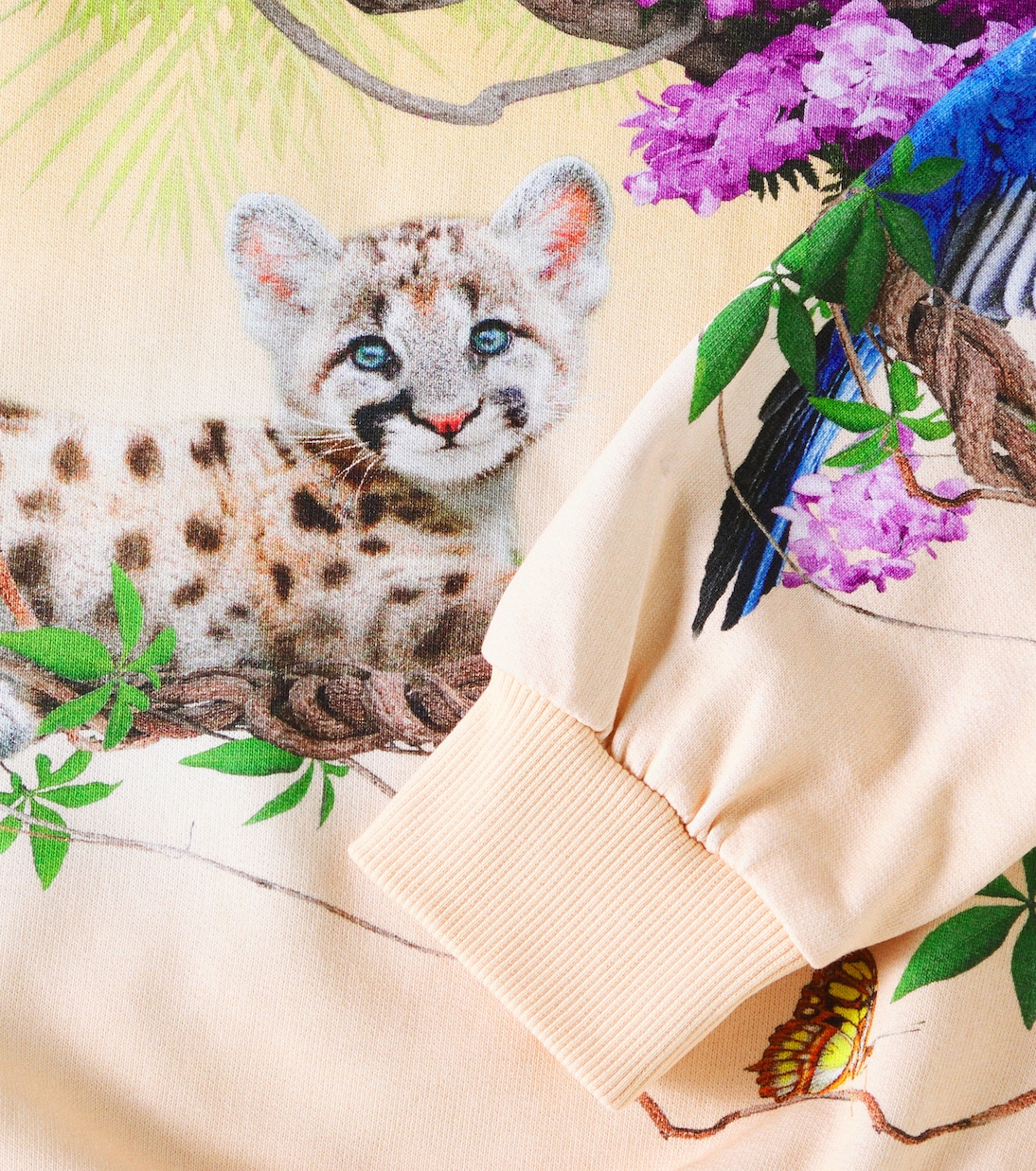 Maxi printed cotton jersey sweatshirt | Molo