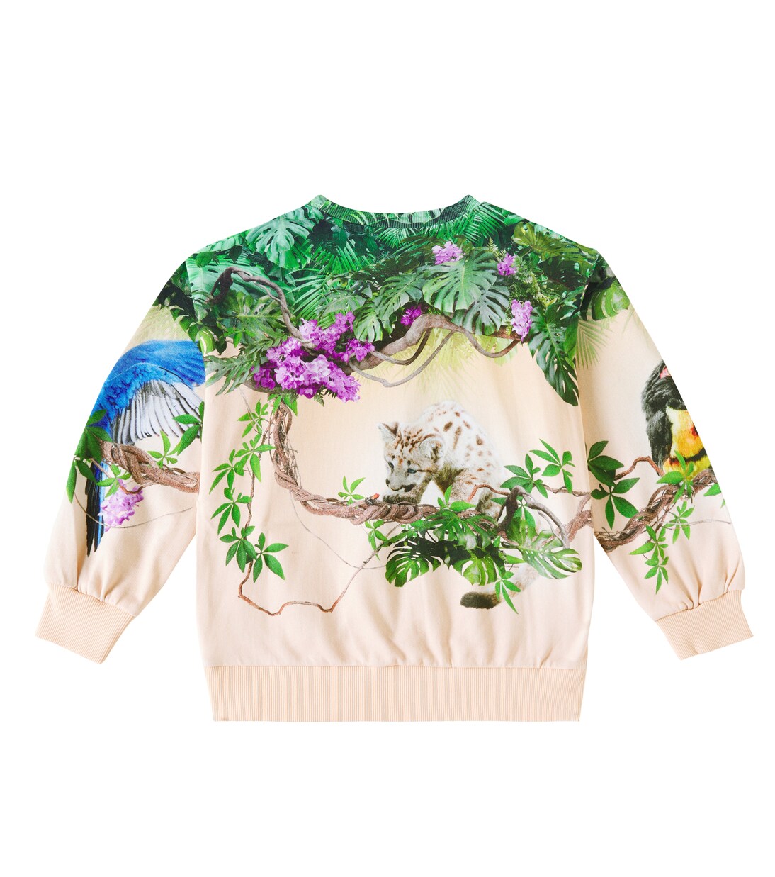 Maxi printed cotton jersey sweatshirt | Molo