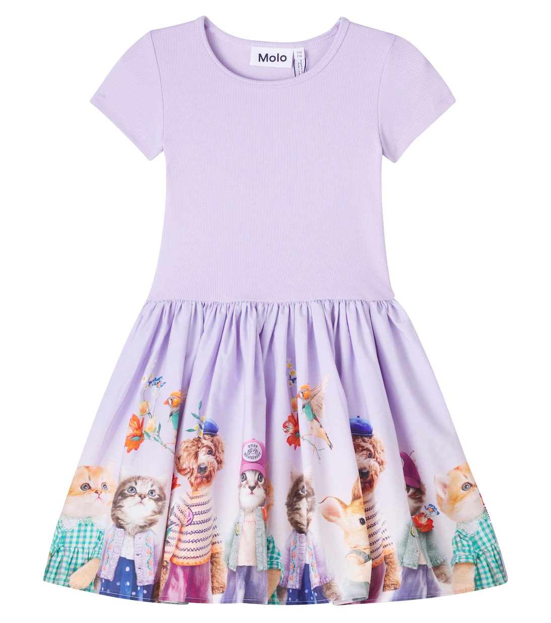 Vestido Cissa en mezcla de algodón | Molo