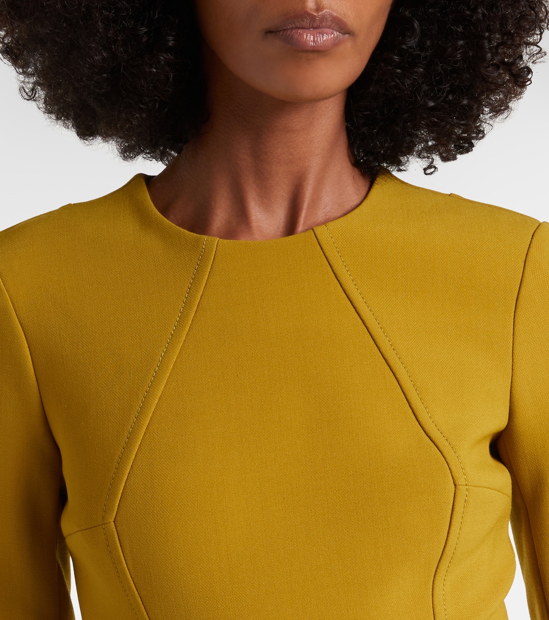 Ucellina belted midi dress | Emilia Wickstead