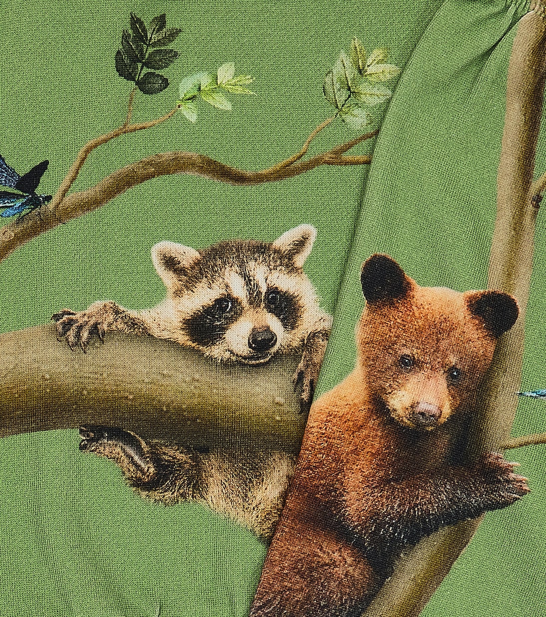 Baby Disc sweatshirt and sweatpants set | Molo