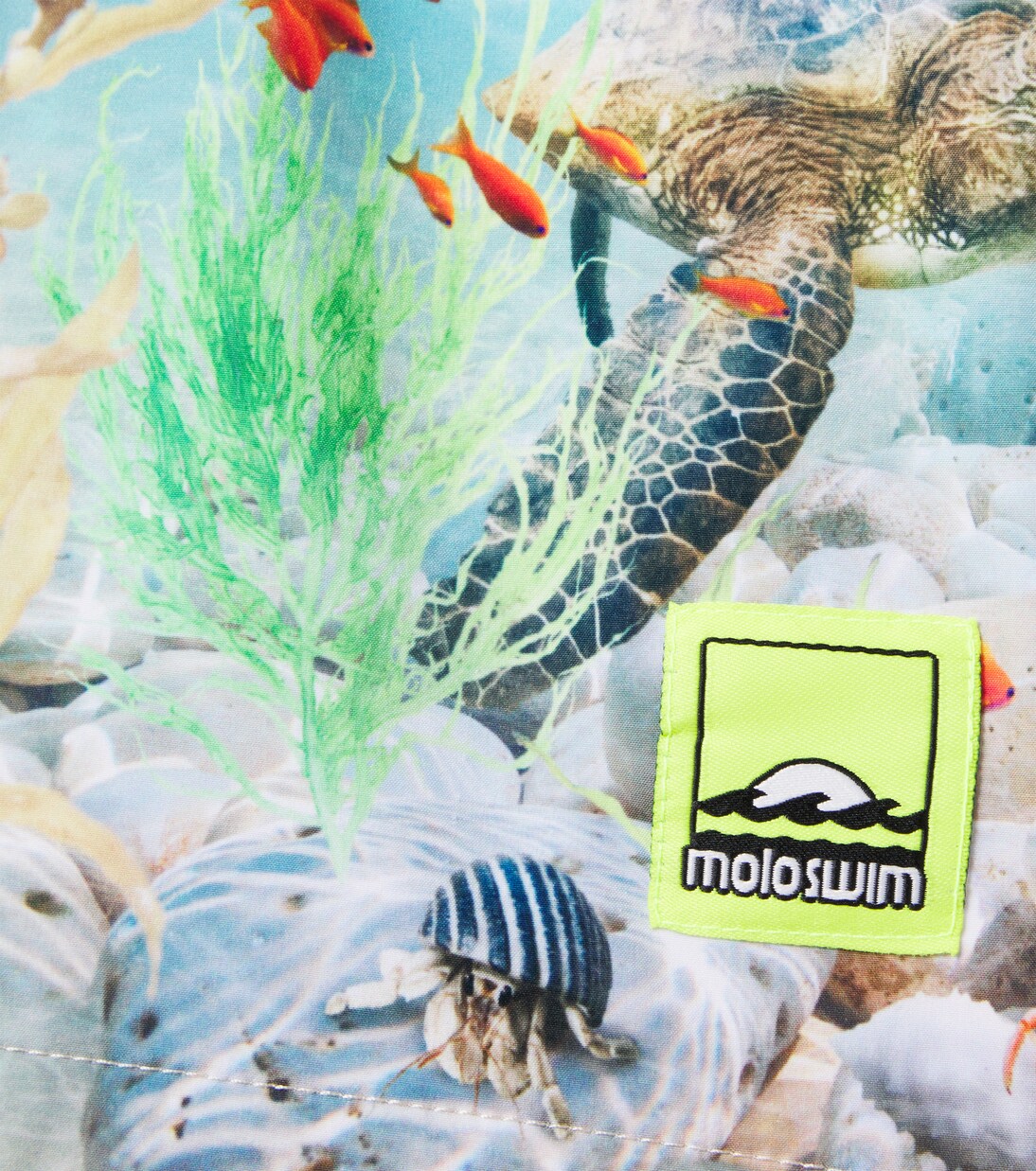 Niko printed swim trunks | Molo