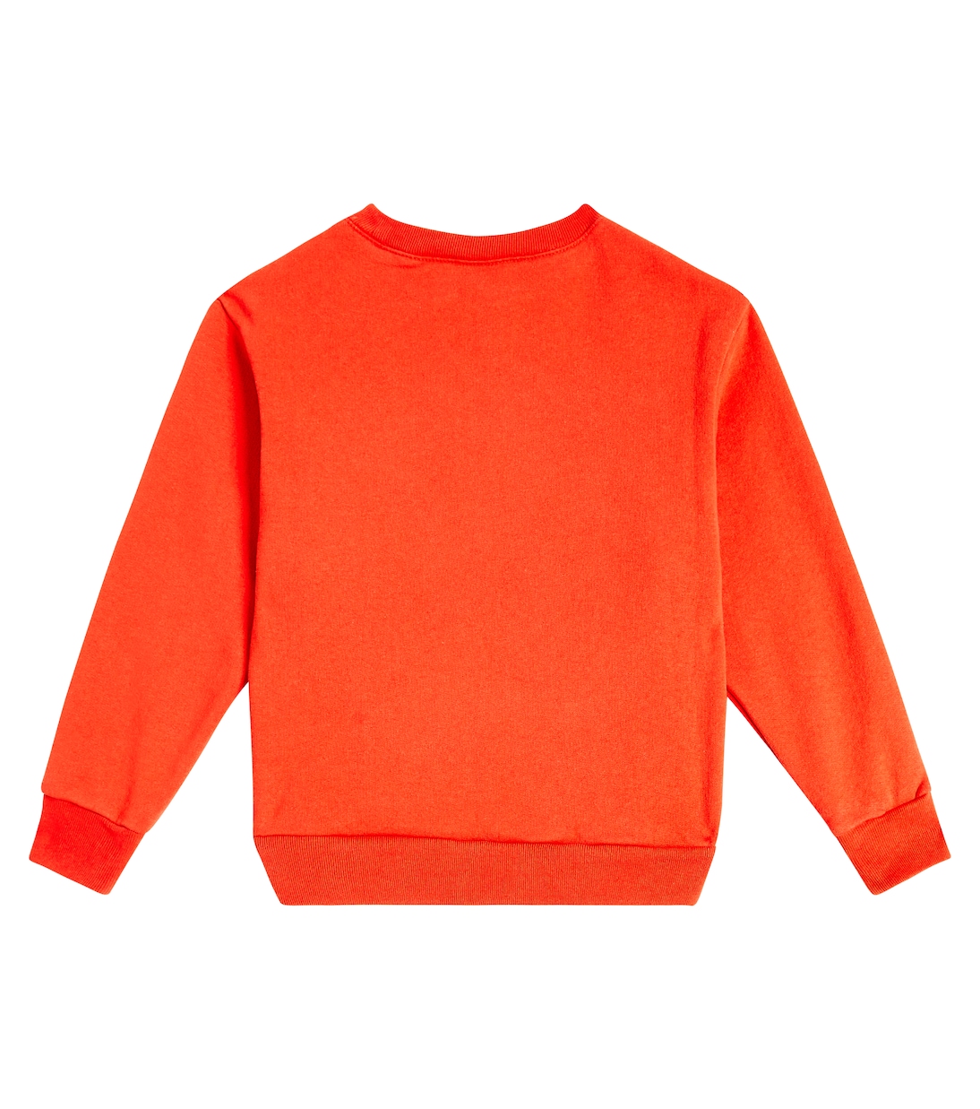 Bear cotton jersey sweatshirt | The Animals Observatory