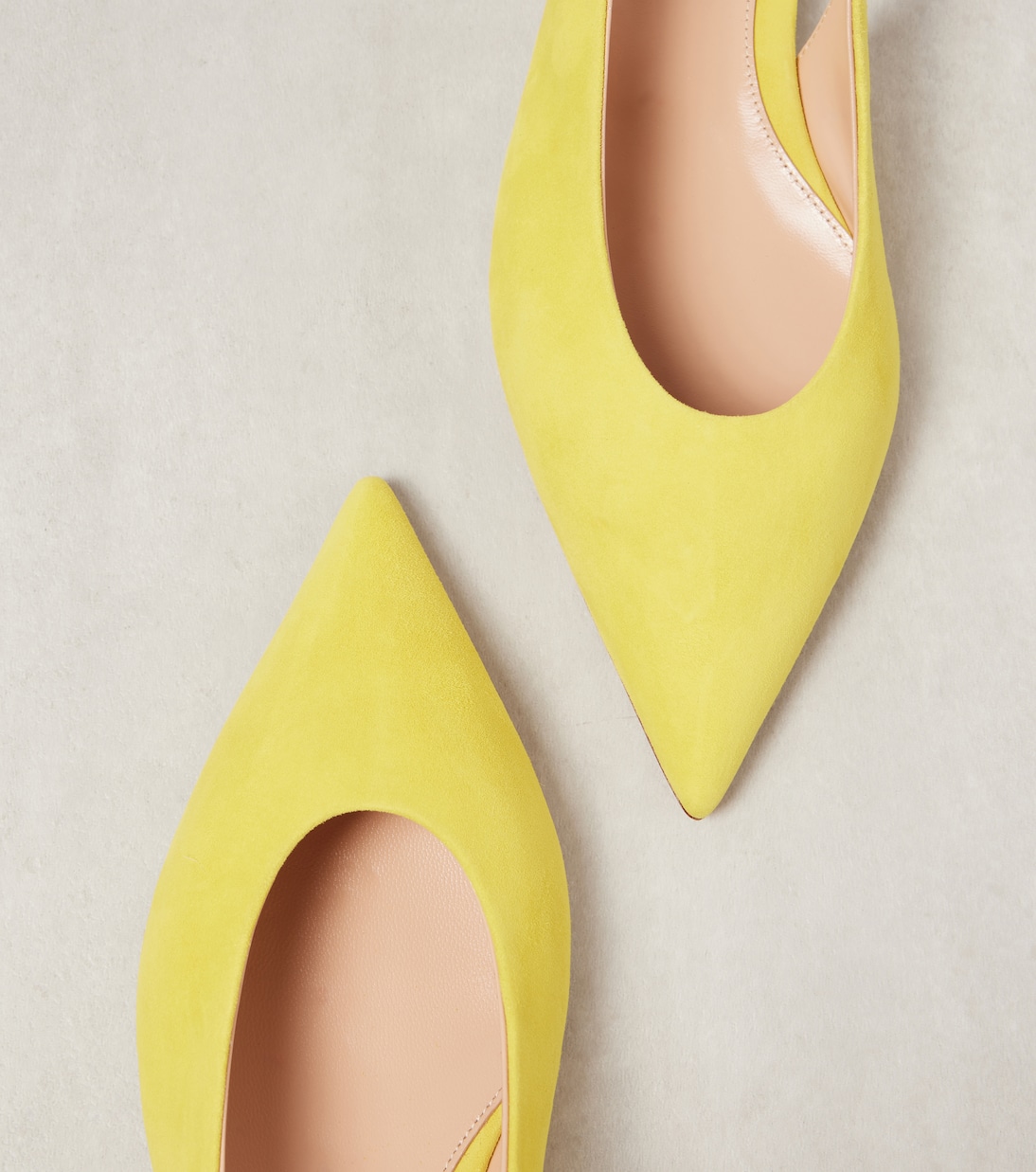 Ballerine slingback in suede | Gianvito Rossi