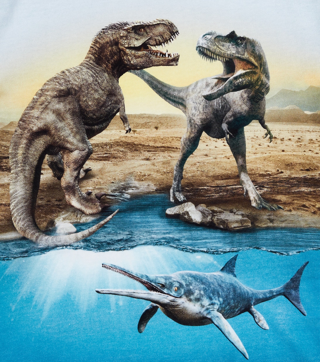 Roxo printed cotton jersey T-shirt | Molo