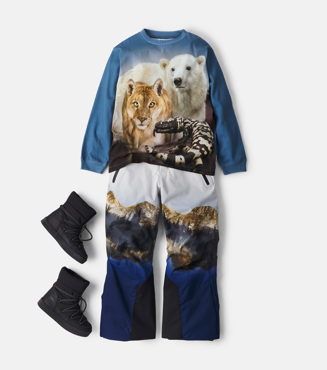 Rube cotton jersey T-shirt | Molo