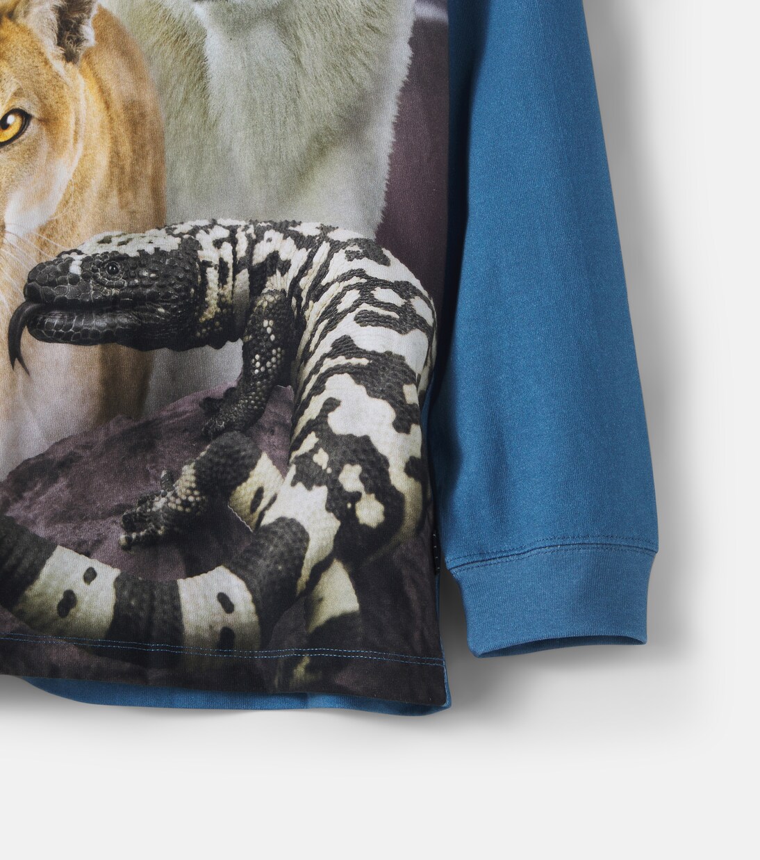 Rube cotton jersey T-shirt | Molo