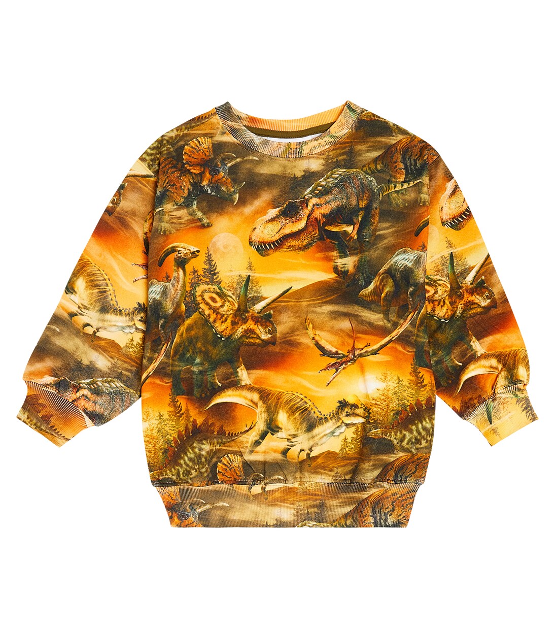 Monti printed cotton sweatshirt | Molo