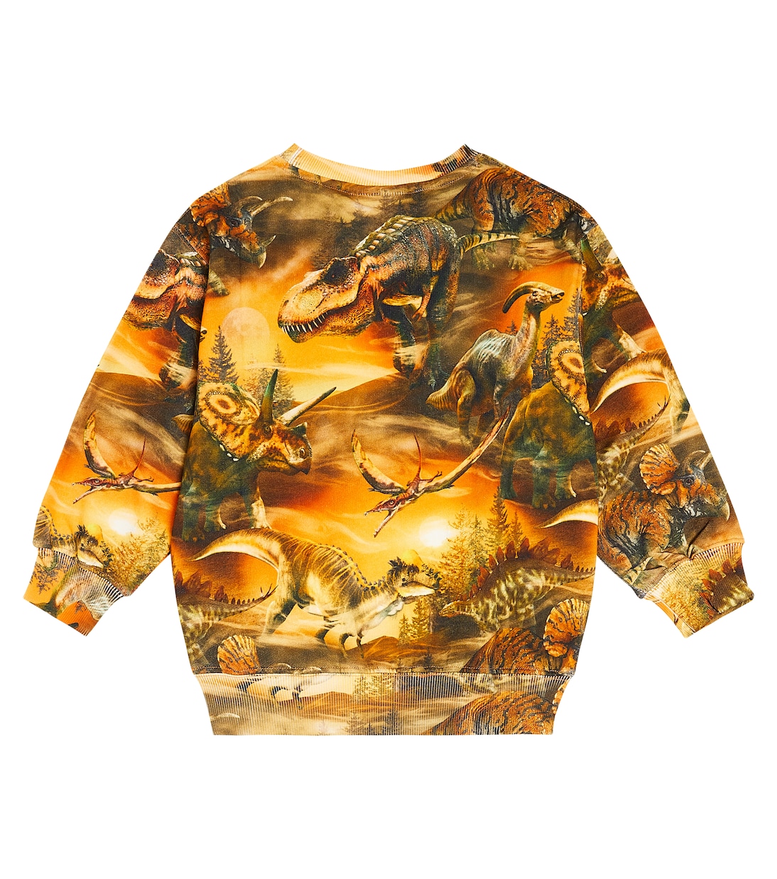 Monti printed cotton sweatshirt | Molo