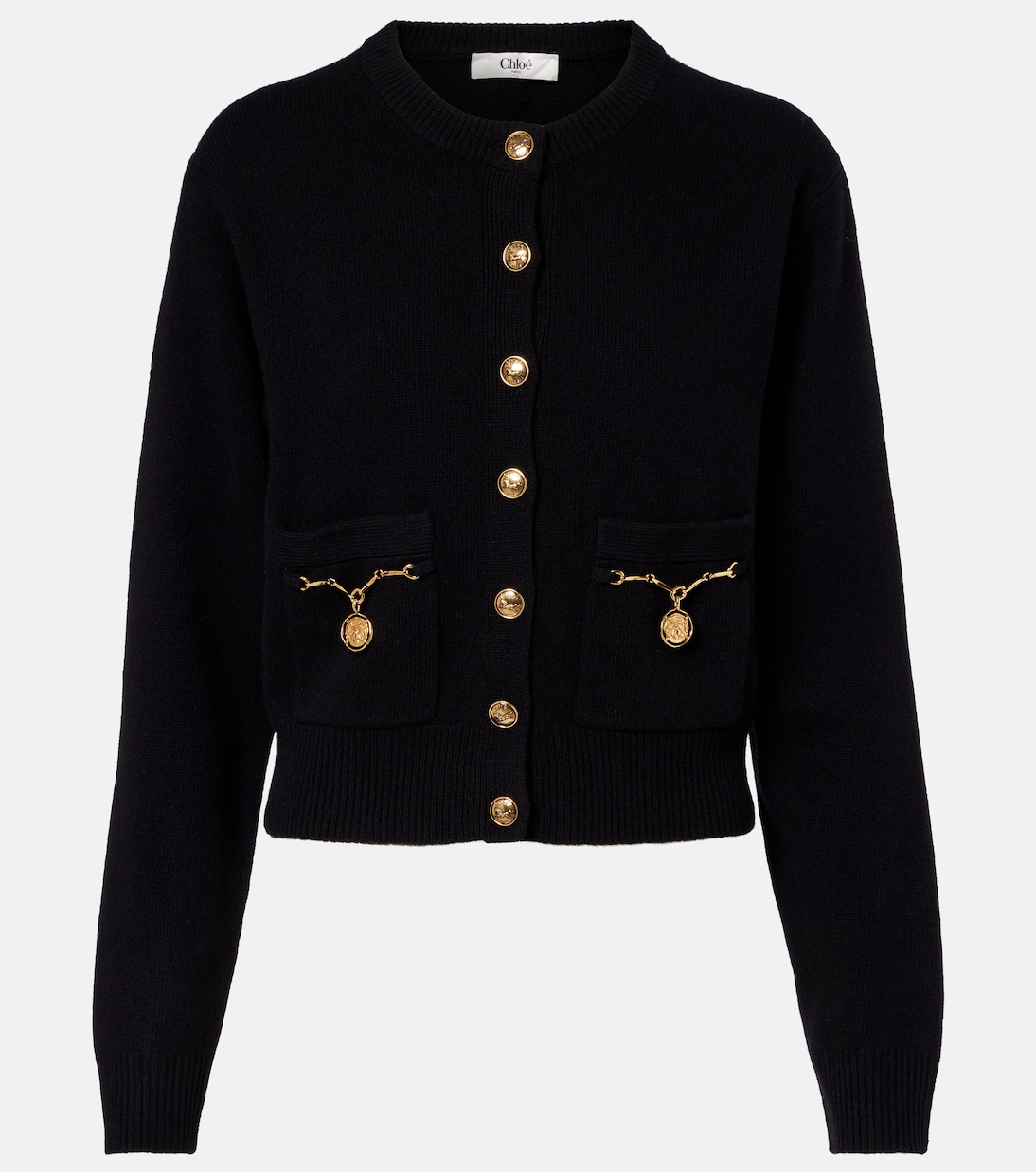Wool and cashmere cardigan | Chloé