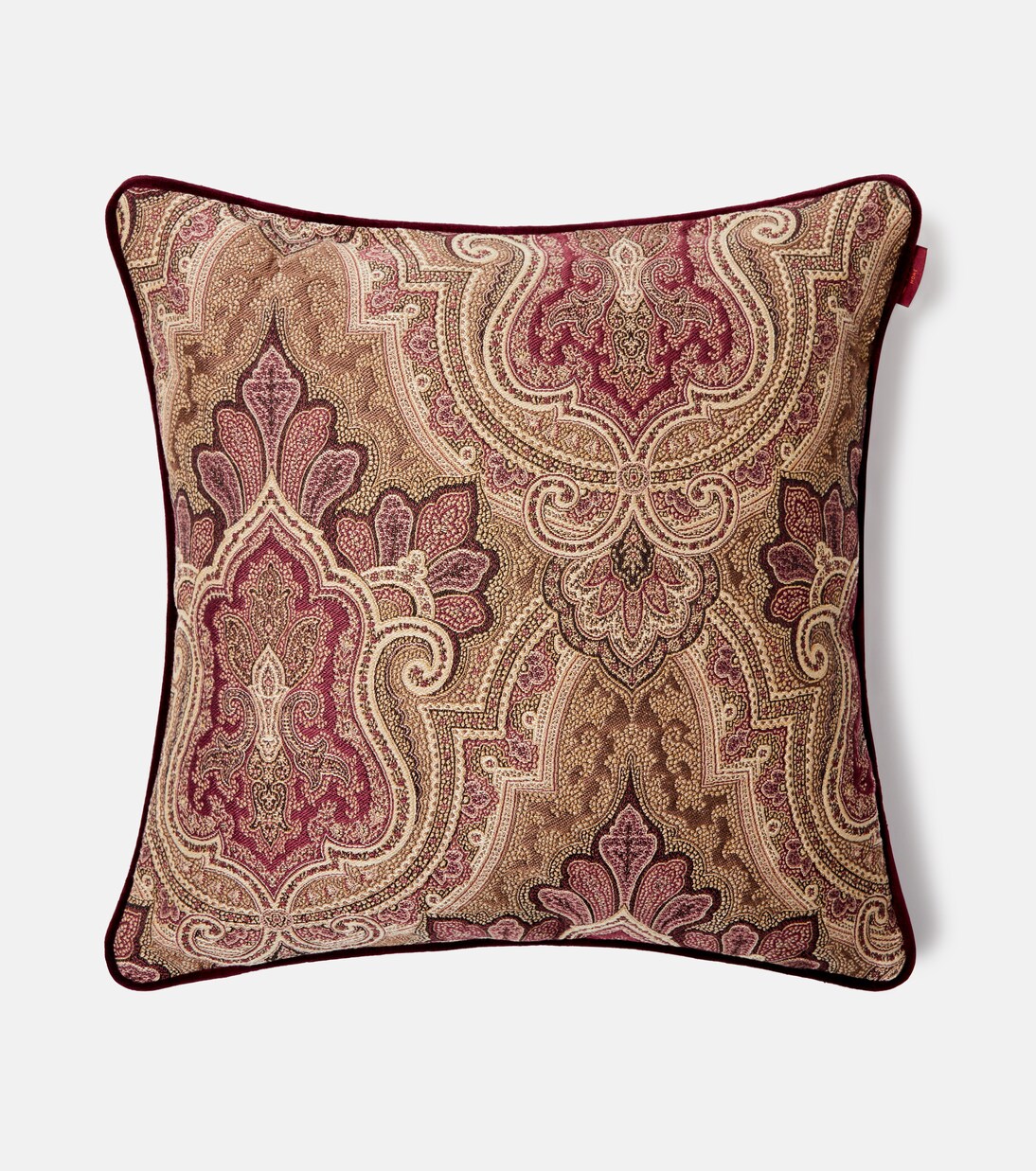 Deosai paisley cushion | Etro