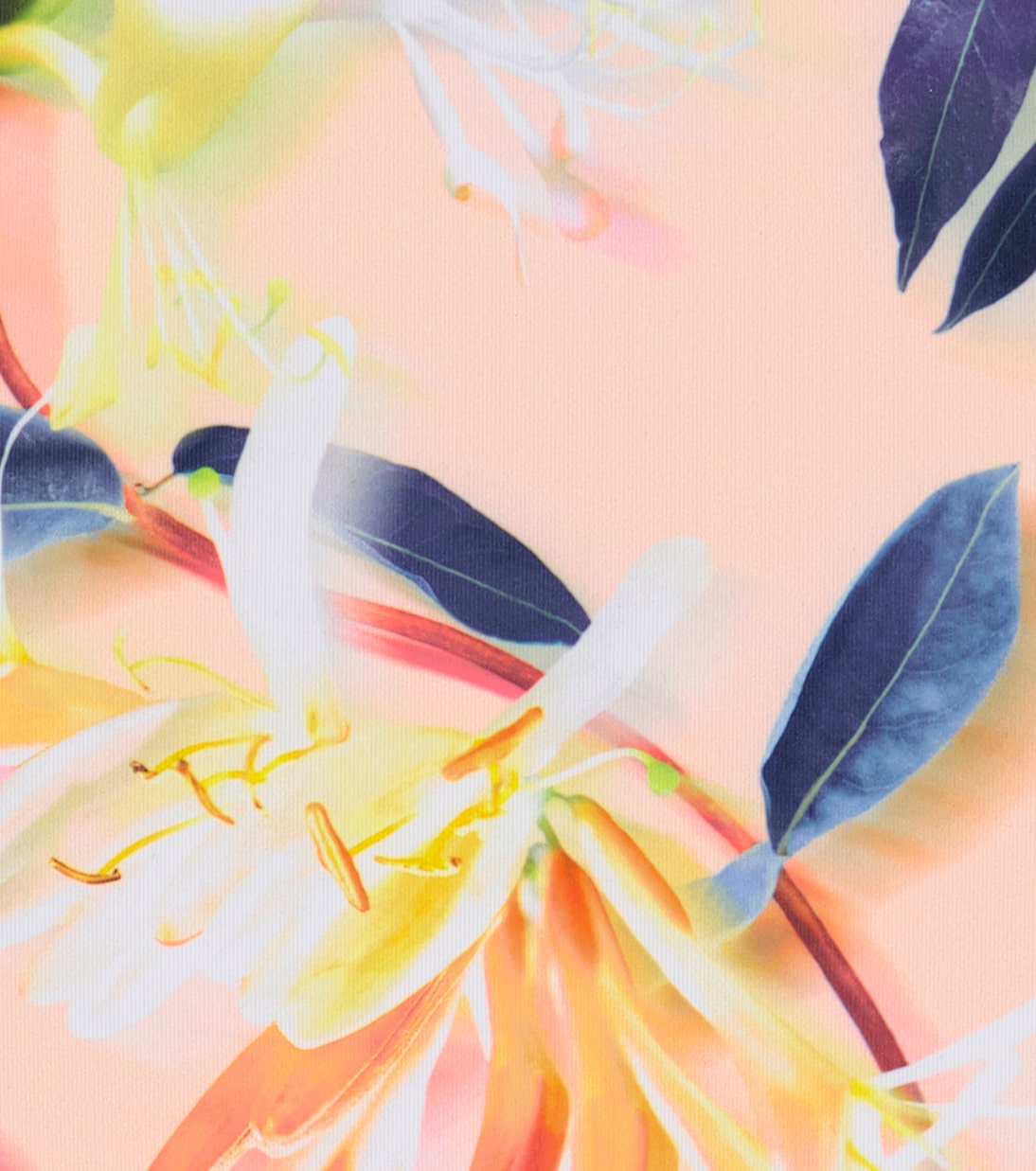 Olivia floral sports bra | Molo