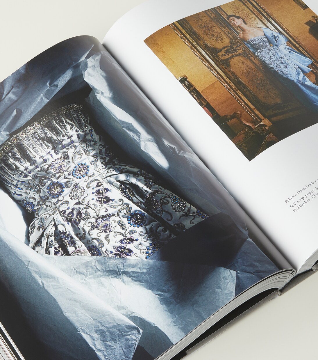 Livre, Dior by Christian Dior | Assouline