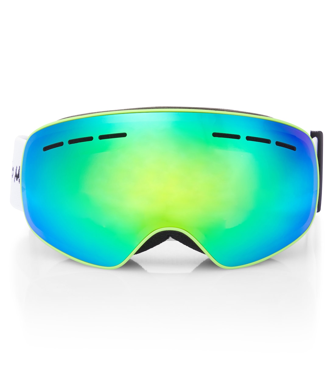 로고 스키 고글 | Roarsome