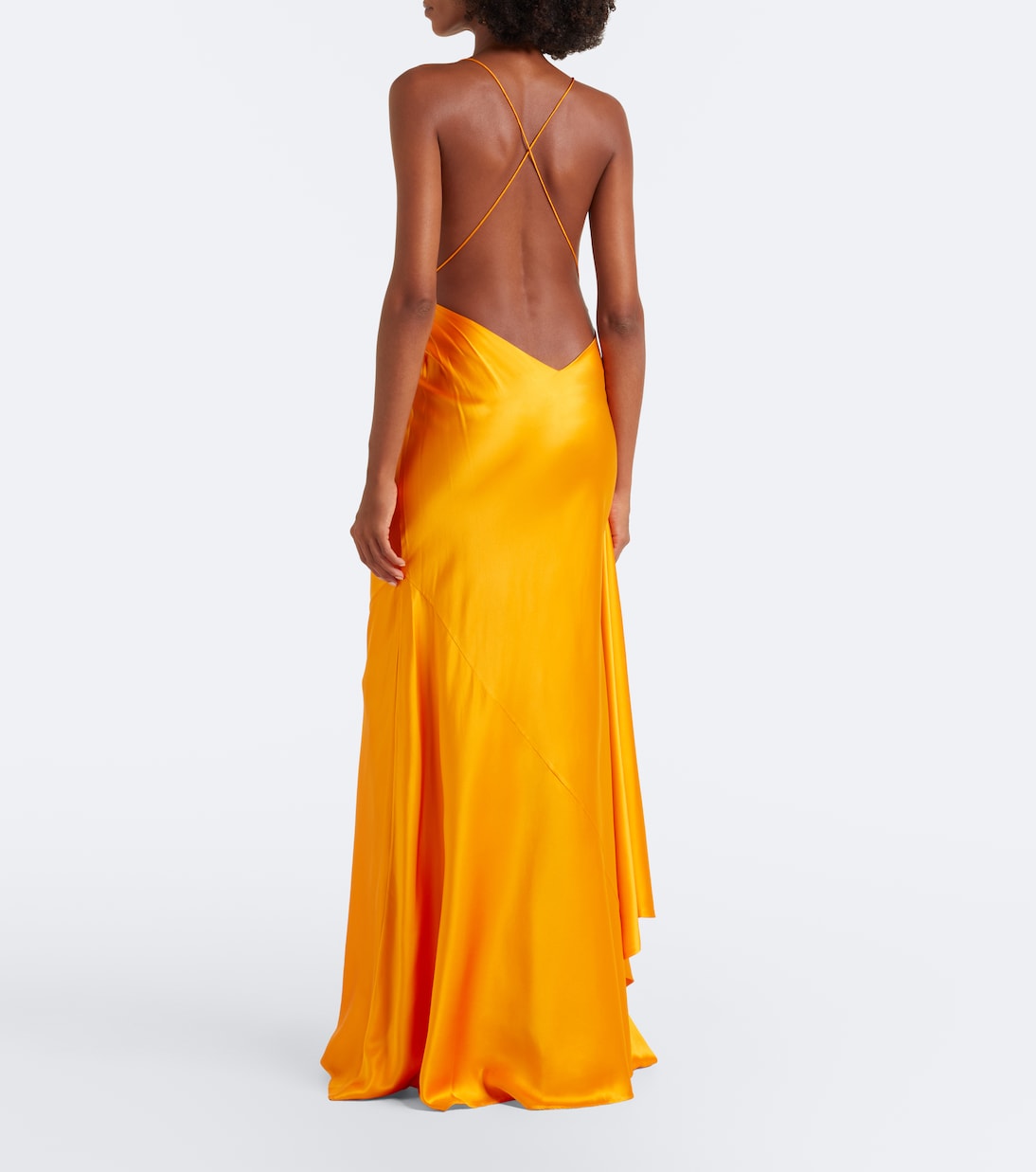 Immagine 5 di 5