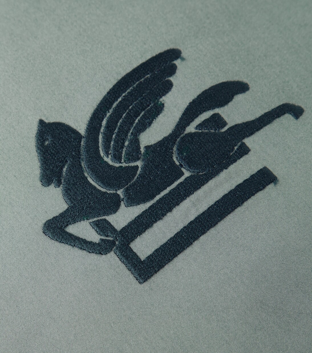 Kiri embroidered cotton velvet cushion | Etro