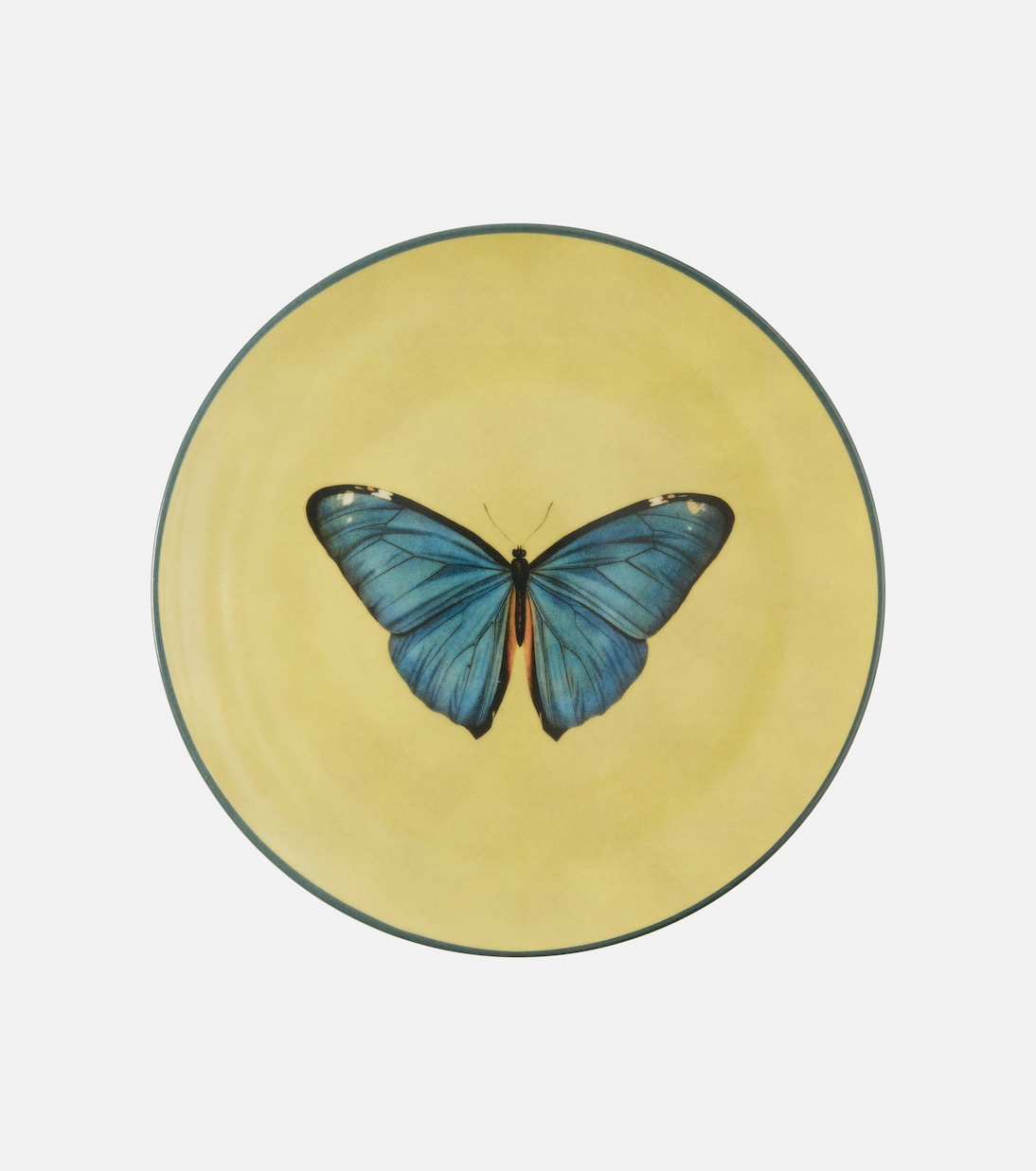 Insetti Butterfly plate | Les-Ottomans