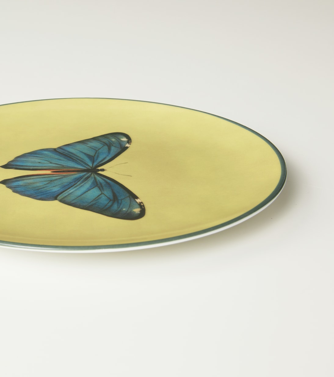 Insetti Butterfly plate | Les-Ottomans