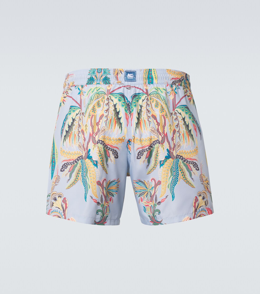 Printed swim trunks | Etro