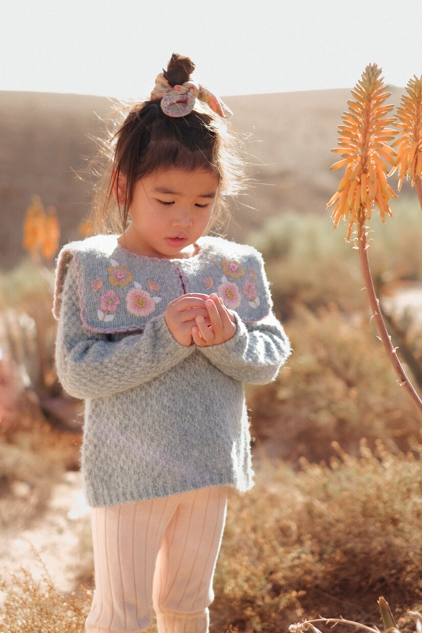 Cyrella wool and cotton sweater | Louise Misha