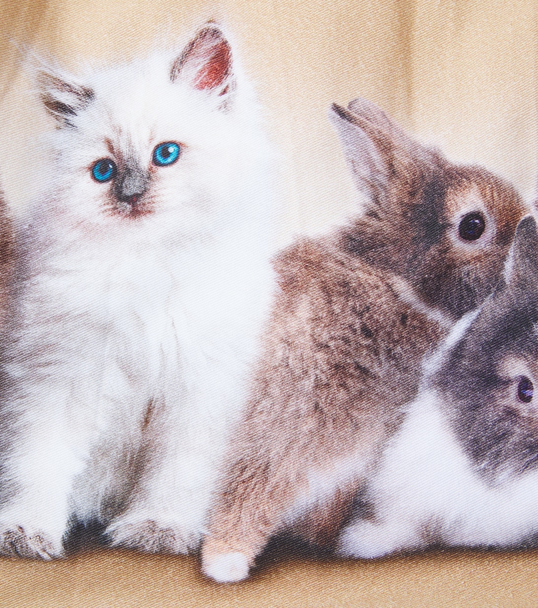 Abito Casie Warm in misto cotone con stampa | Molo