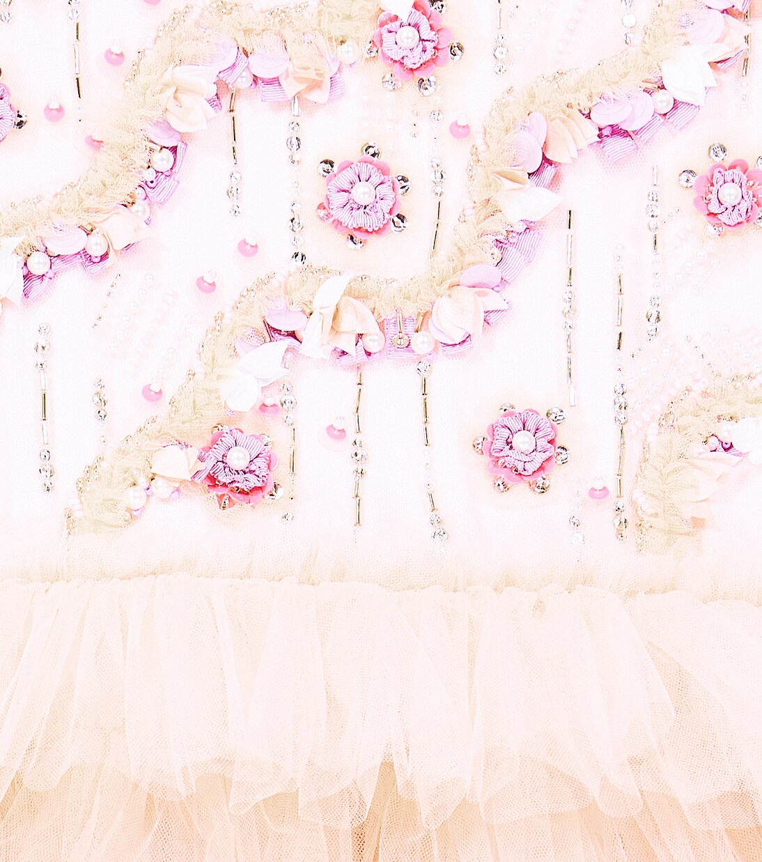 Portrait embellished tulle dress | Tutu Du Monde
