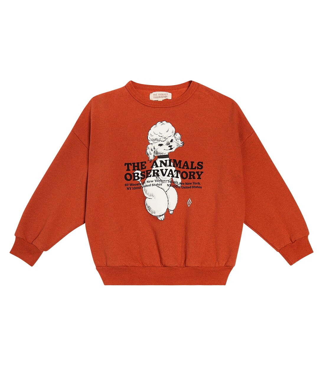 Big Bear printed cotton sweatshirt  | The Animals Observatory