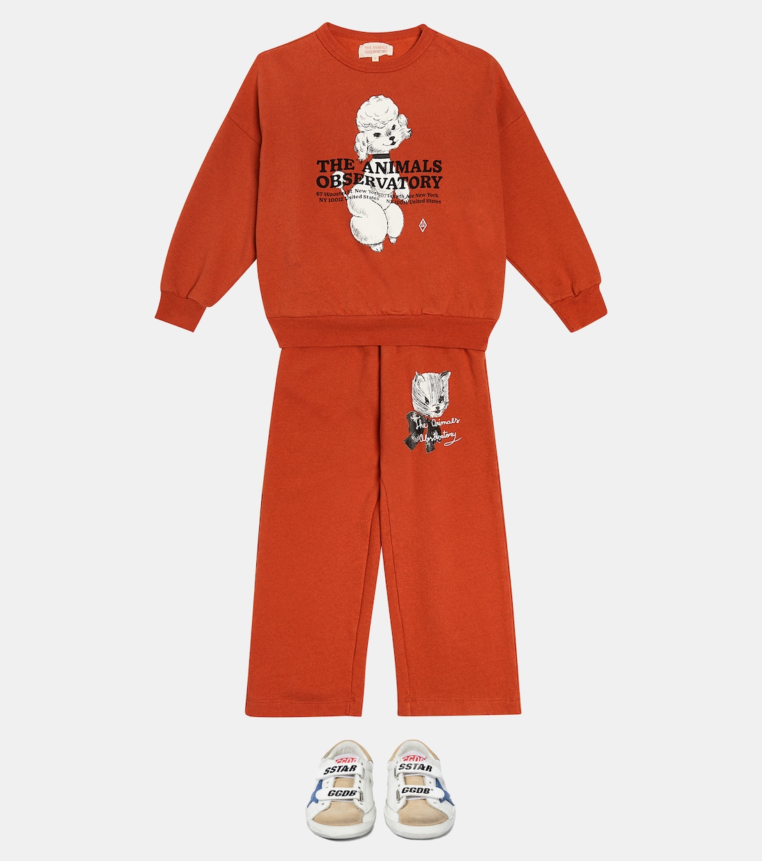Big Bear printed cotton sweatshirt  | The Animals Observatory