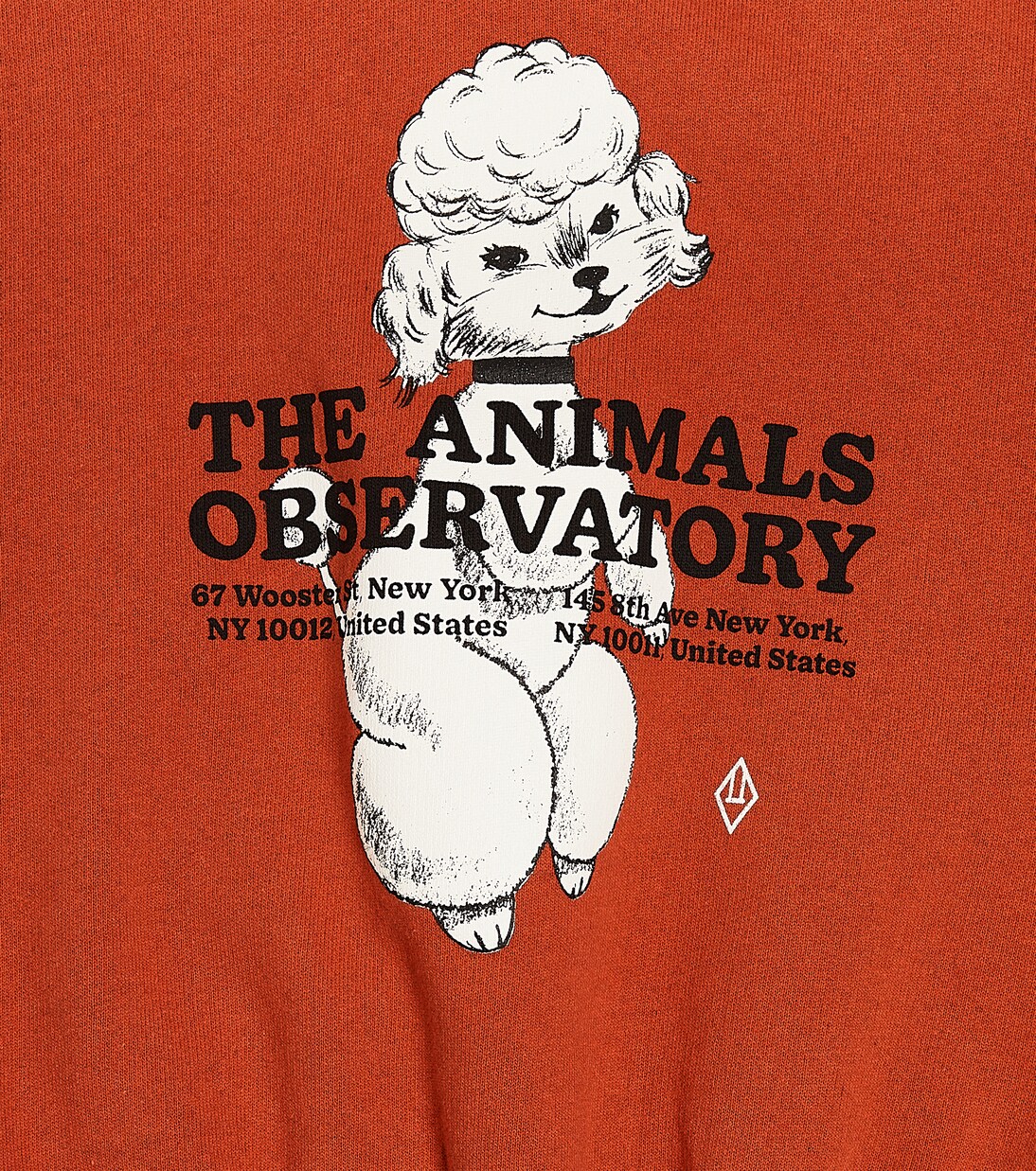 Big Bear printed cotton sweatshirt  | The Animals Observatory