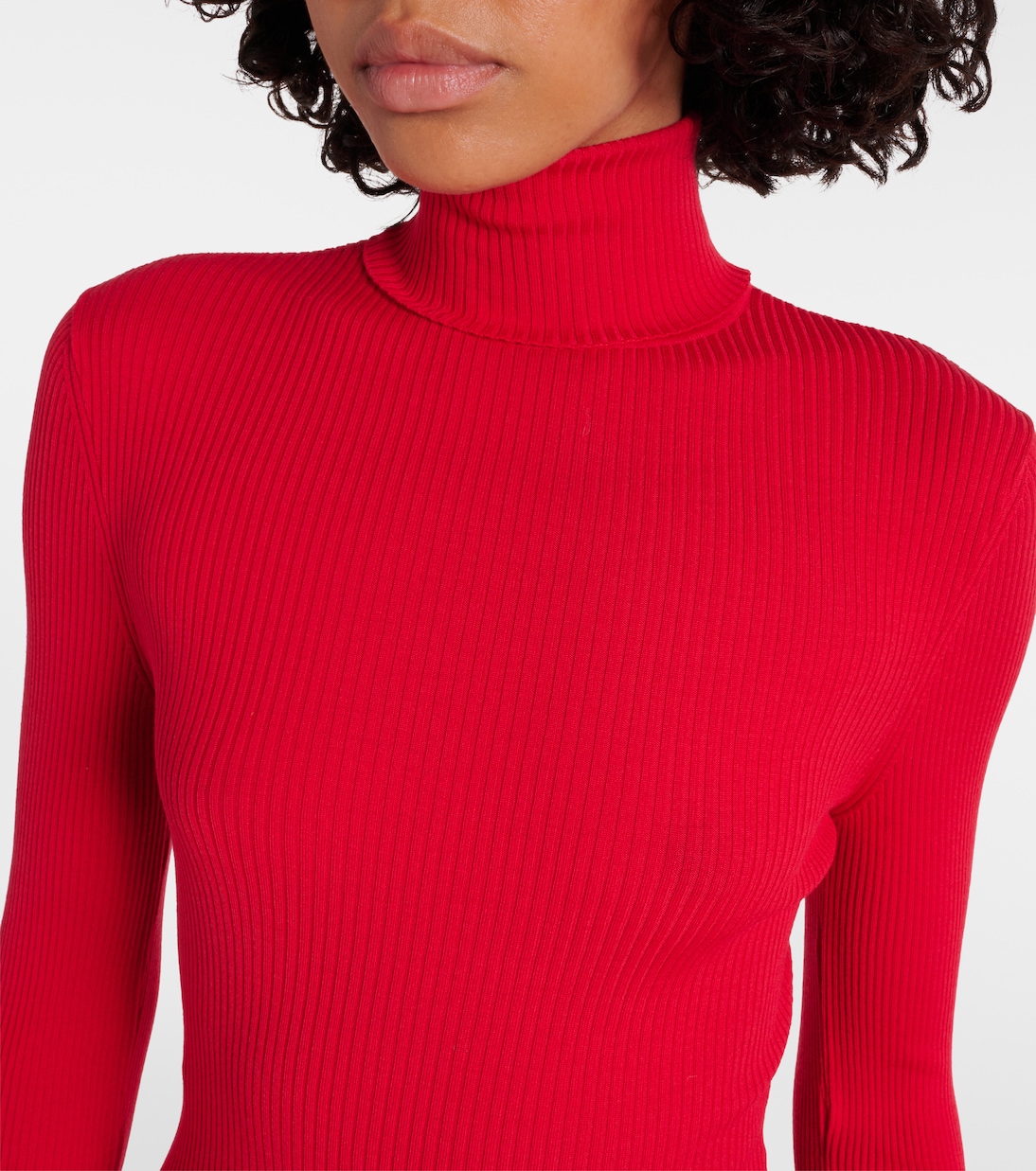  Ribbed-knit turtleneck | Wolford