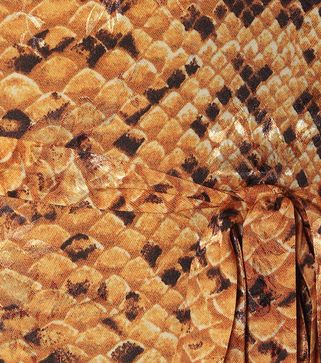 Robe Lupita imprimée | Preen by Thornton Bregazzi