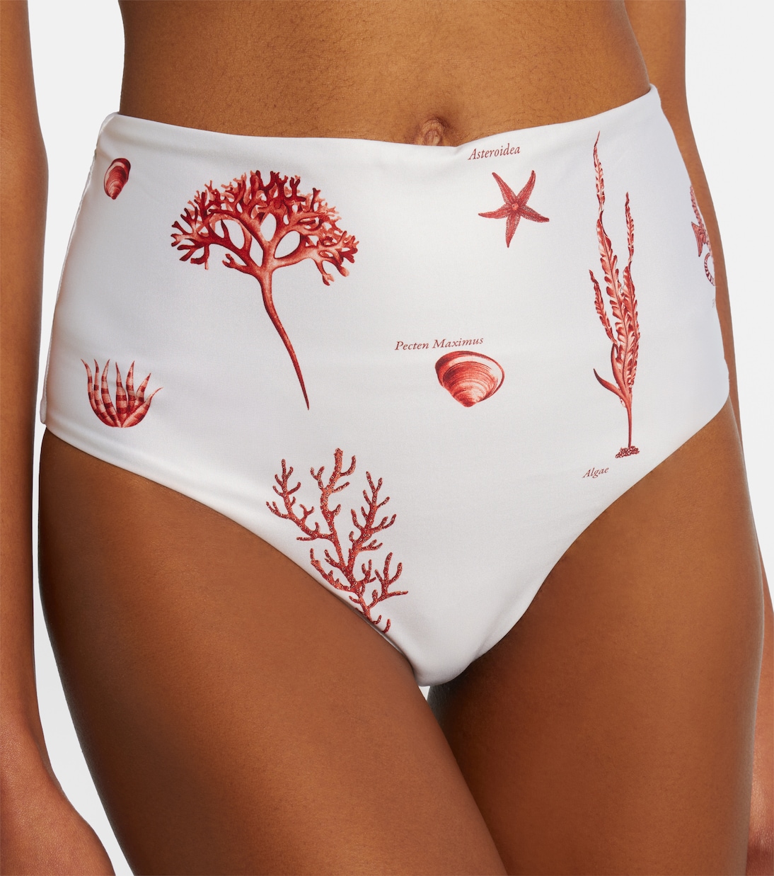 Braga de bikini Magdalena estampada | Agua by Agua Bendita