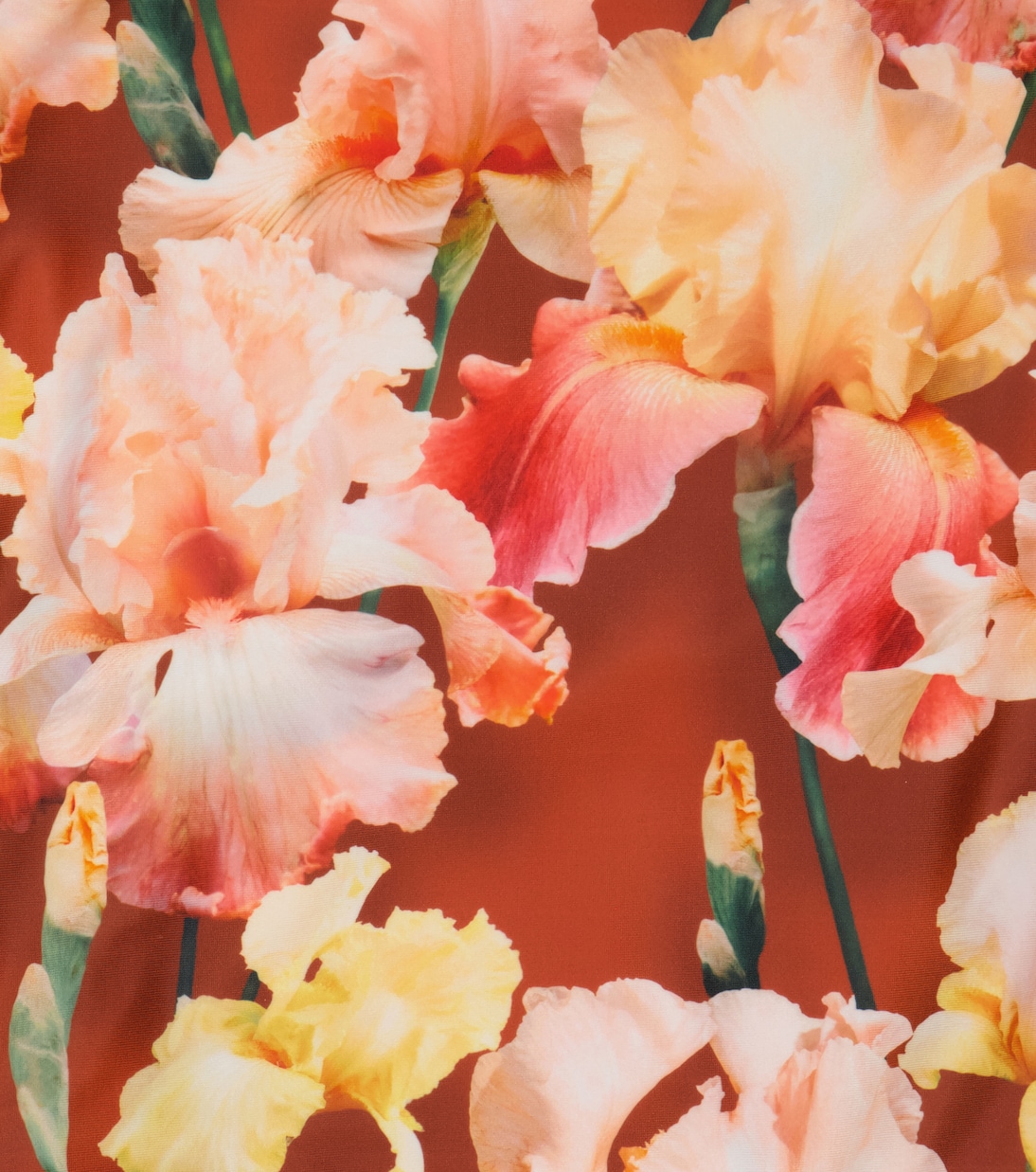 Nanna floral swimsuit | Molo