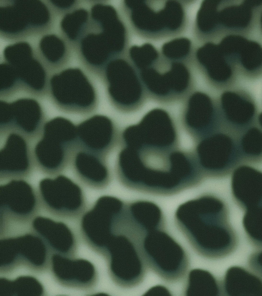 Neptune leopard-print rashguard | Molo