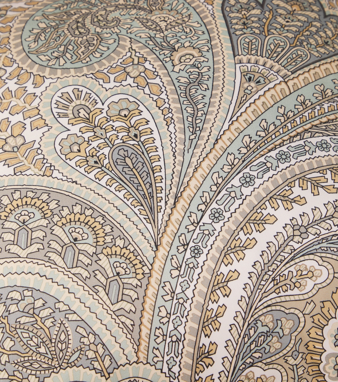 Giano paisley cotton cushion | Etro