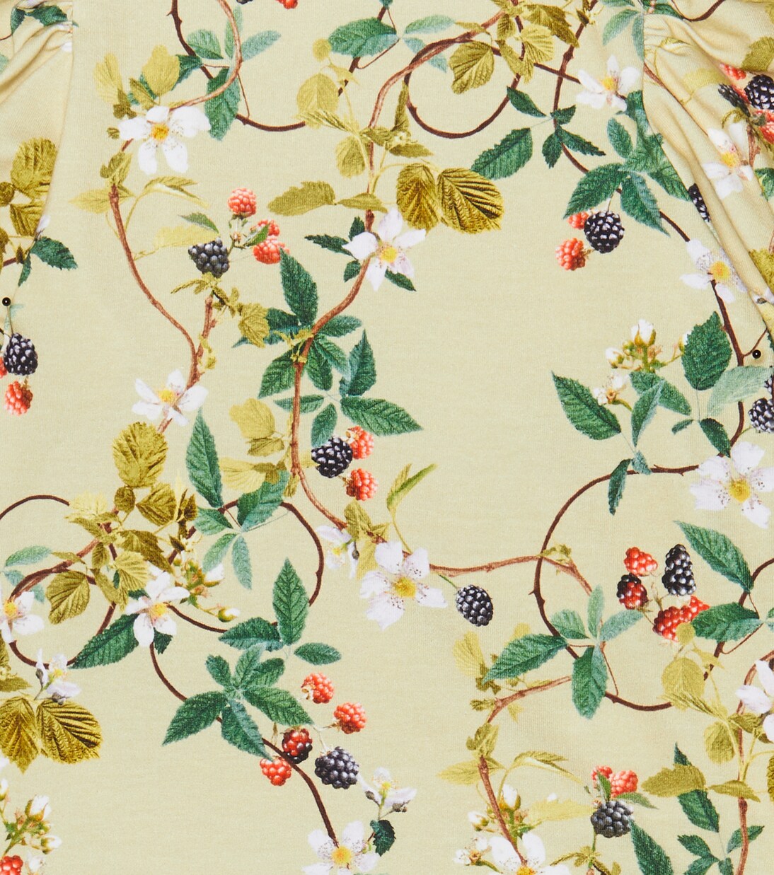 Rivera cotton-blend T-shirt | Molo