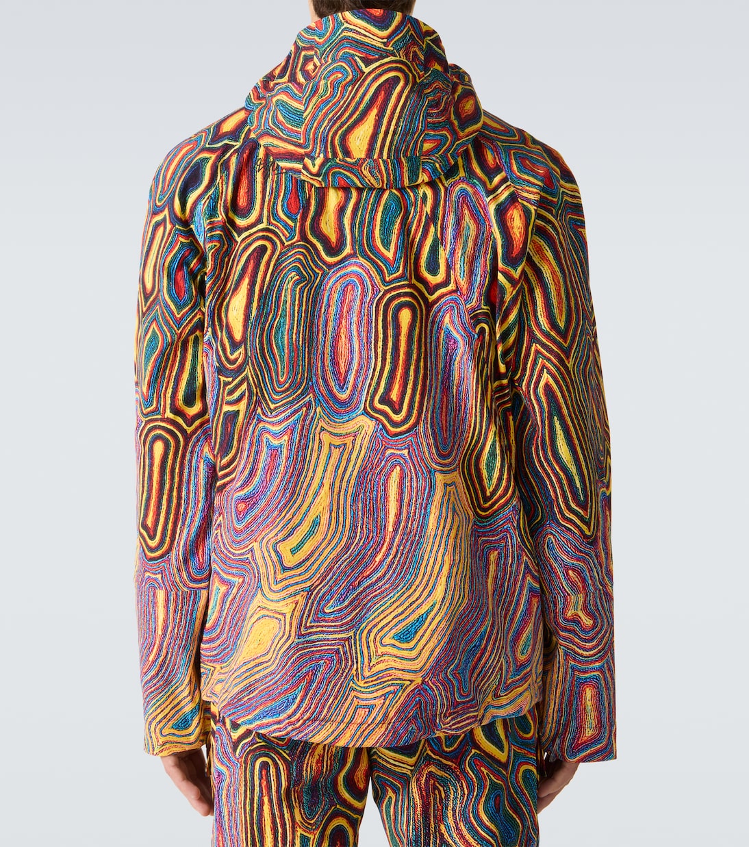 Hayden printed ski jacket | Aztech Mountain