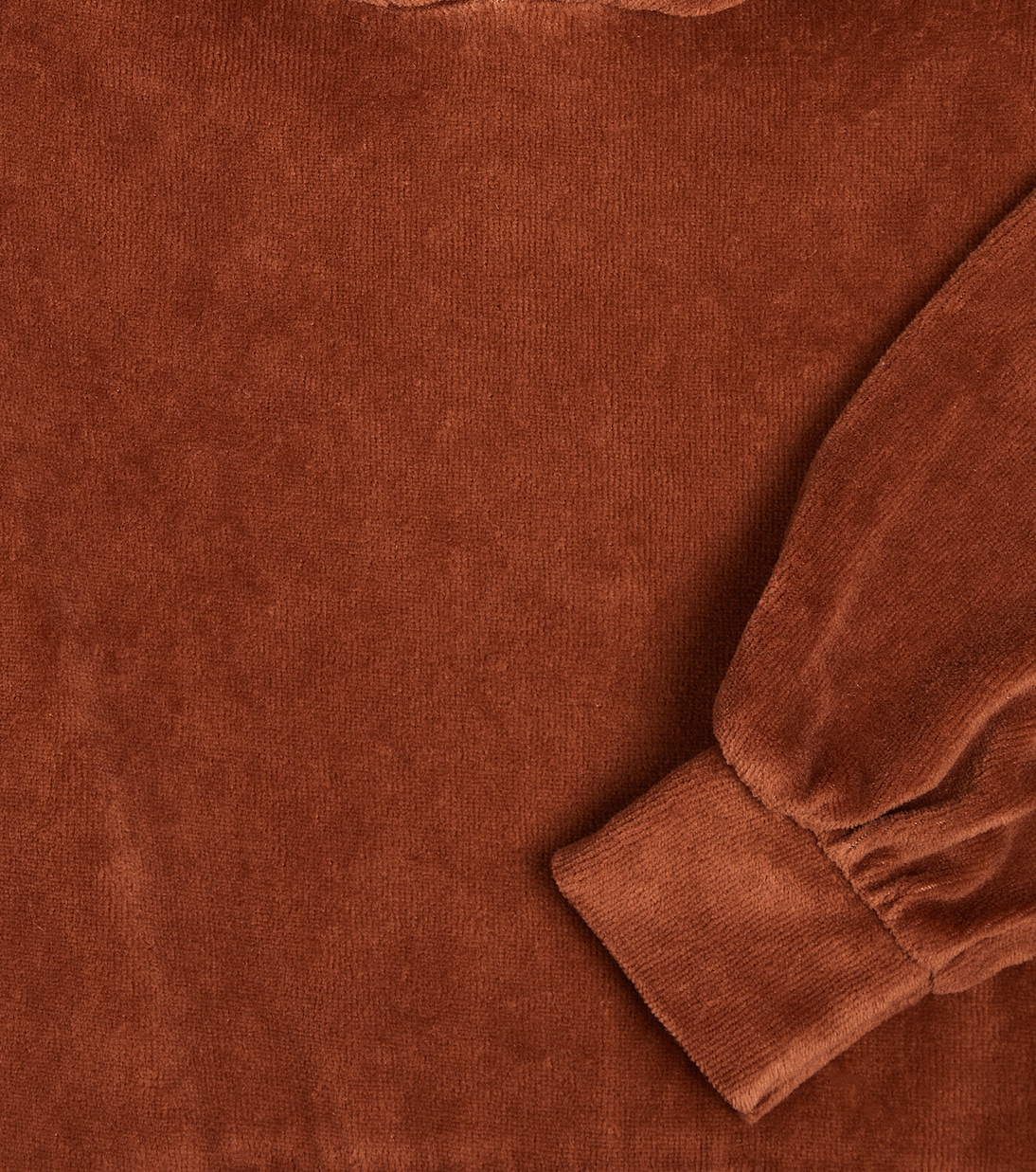 Baby Albina cotton-blend hoodie | 1 + in the Family