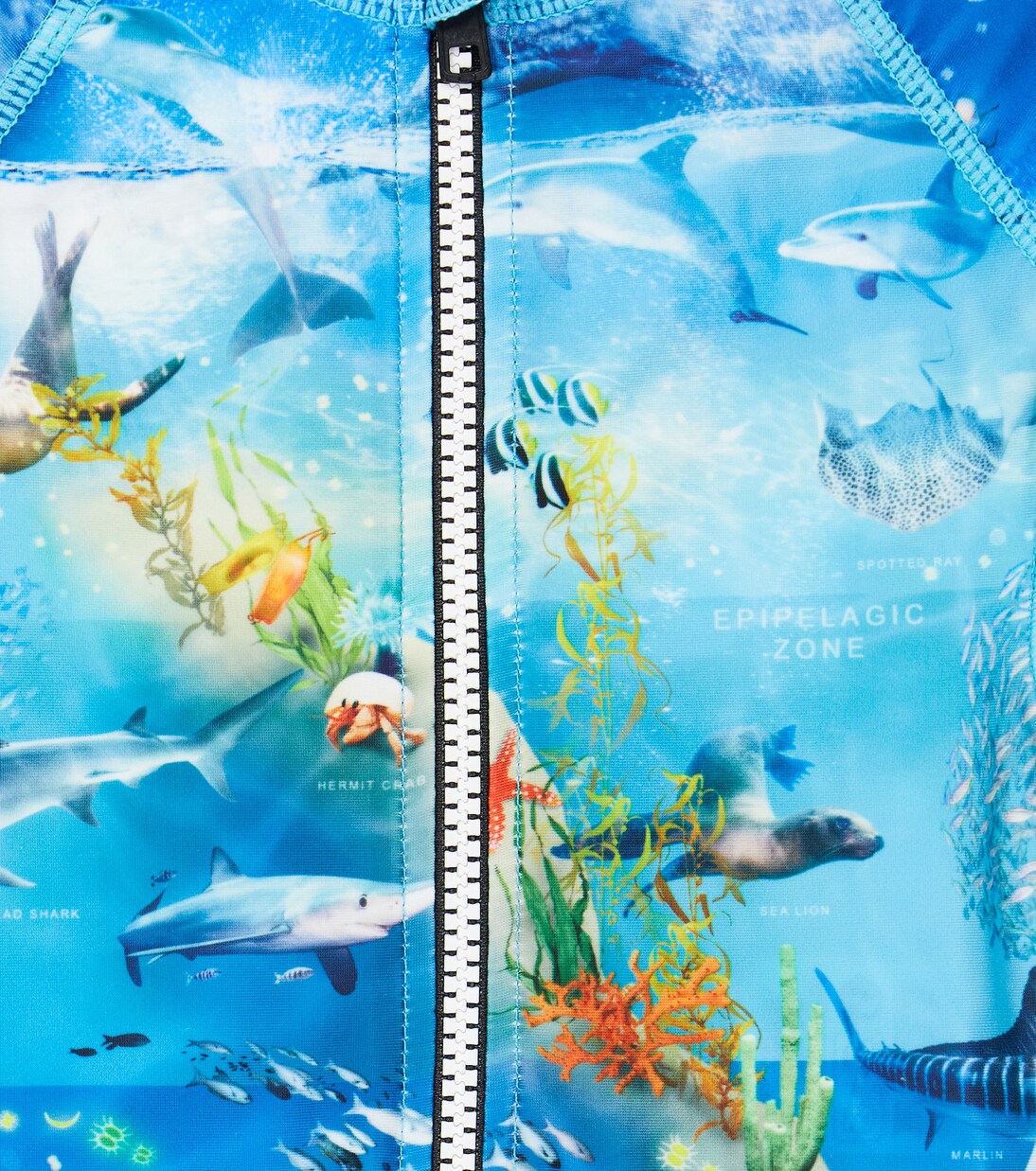 Baby Neka printed rashguard swimsuit | Molo