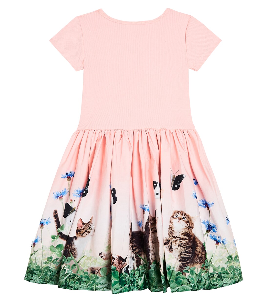 Cissa floral cotton-blend dress | Molo