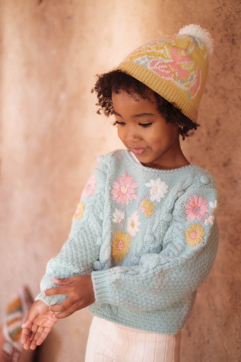 Acacia embroidered sweater | Louise Misha