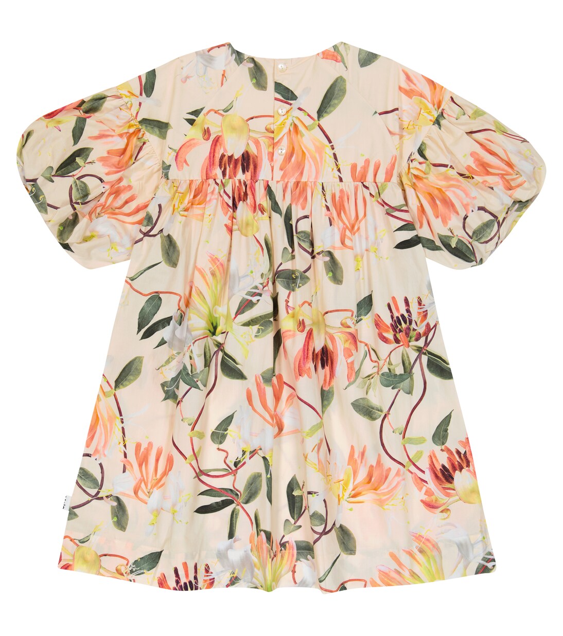 Robe Catherine en coton à fleurs | Molo