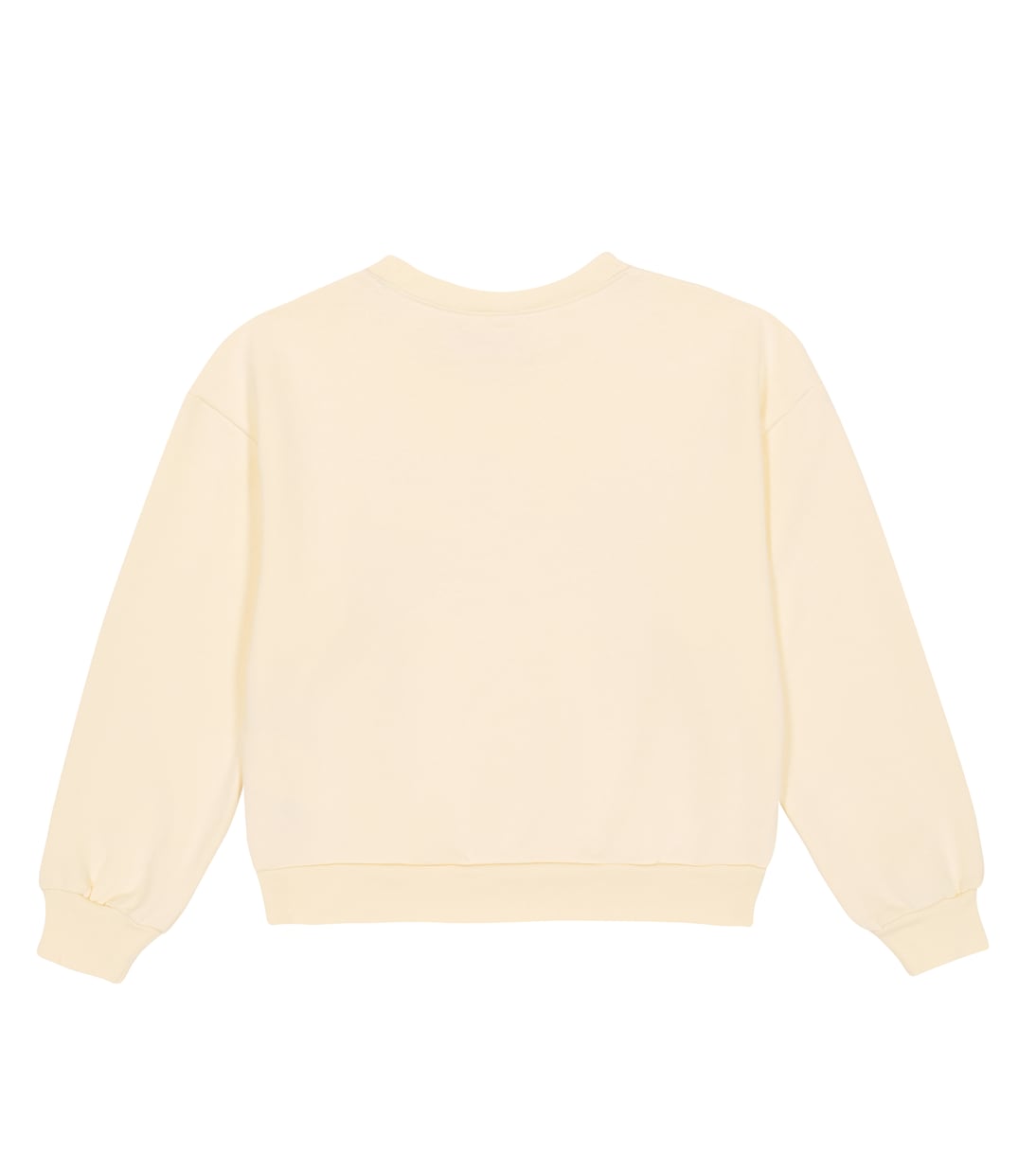 Bear printed cotton sweatshirt | The Animals Observatory