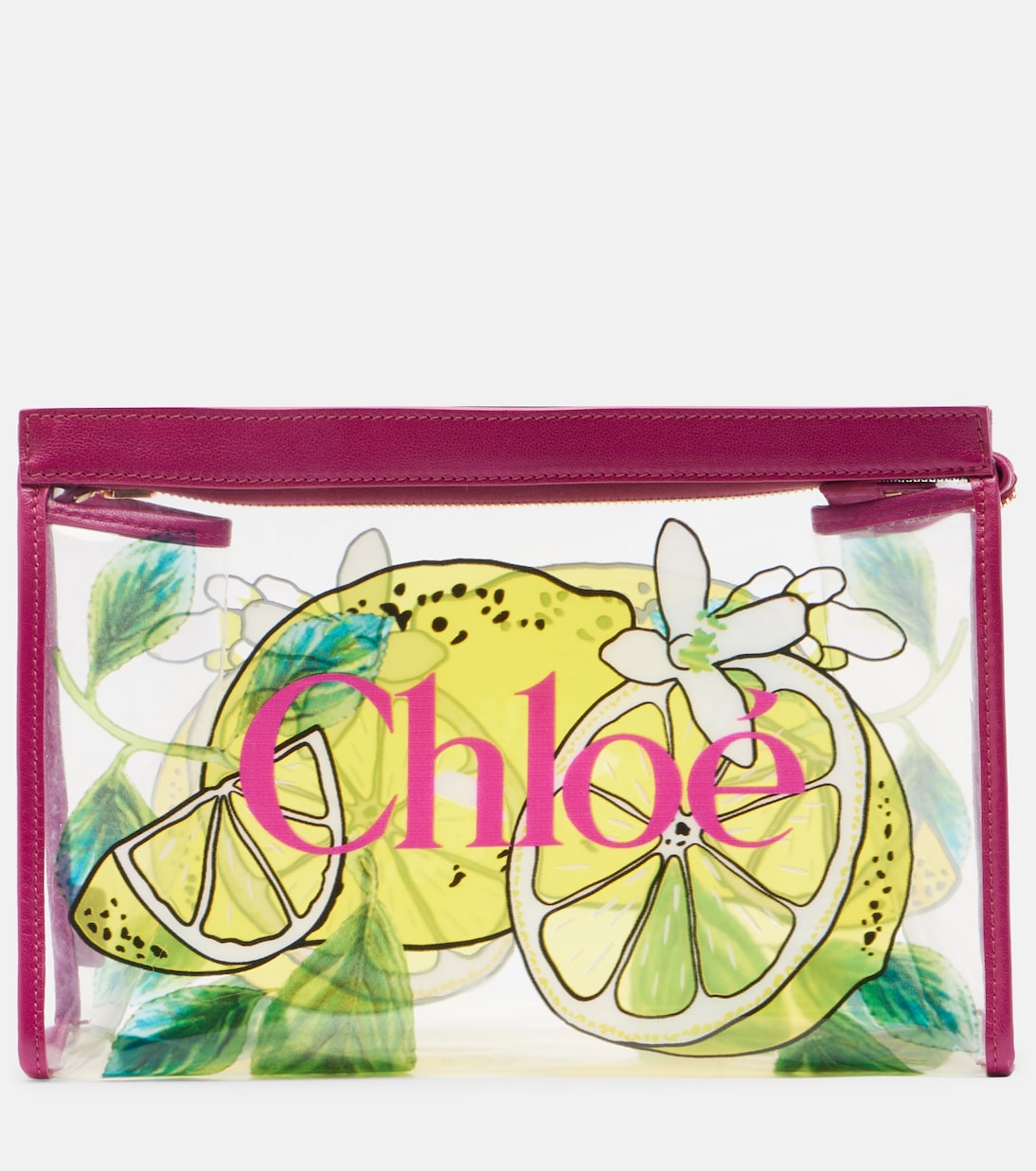 Soleil Small leather-trimmed pouch | Chloé