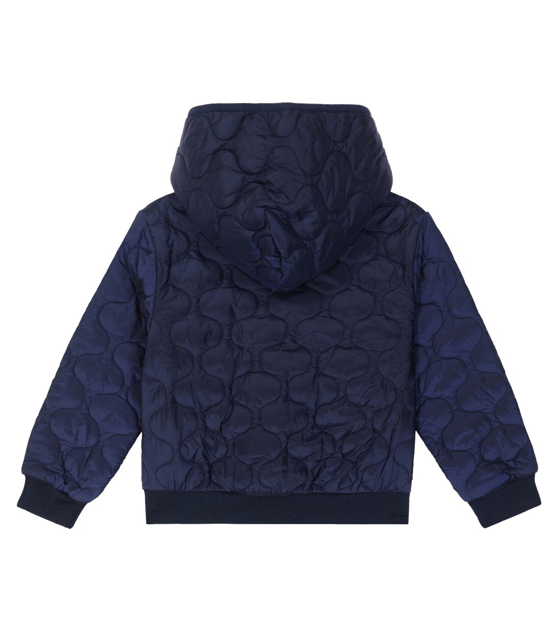Teddy Bear quilted jacket | Moschino Kids